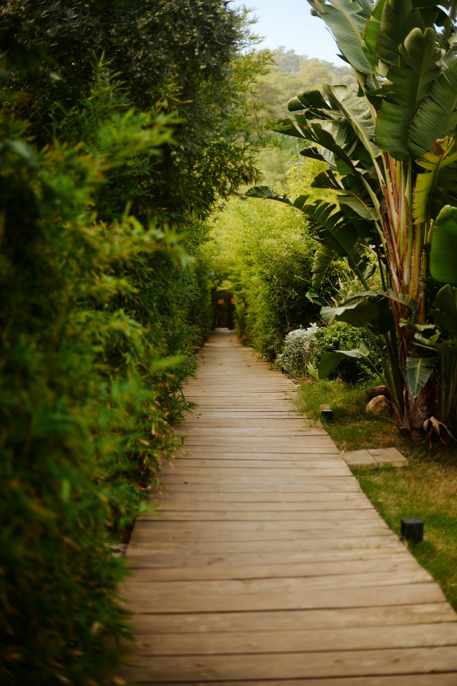 Creating a Spa-Like Atmosphere in Everyday Life